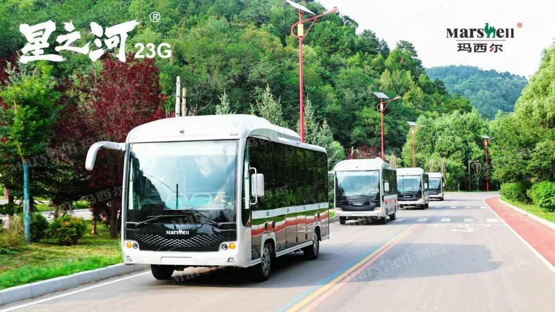 考取場內景區觀光車駕照的詳細步驟！